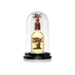 Eternal-oud-2